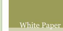 White Paper